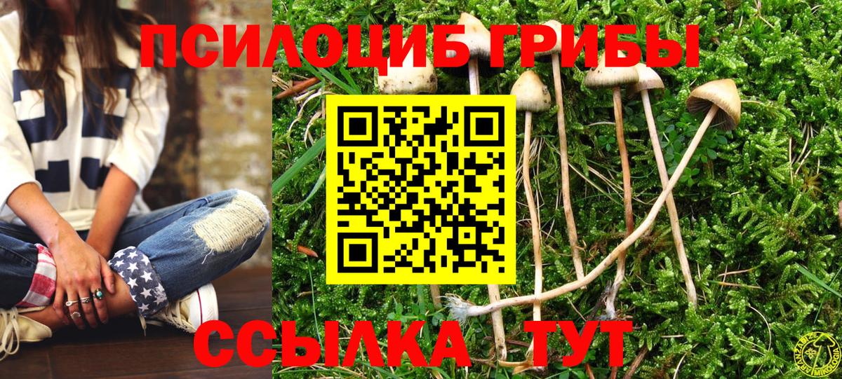 Галлюциногенные грибы мицелий Кулебаки